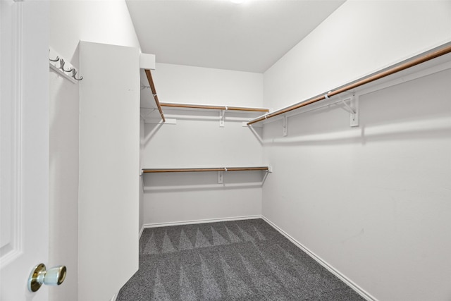 walk in closet with dark carpet