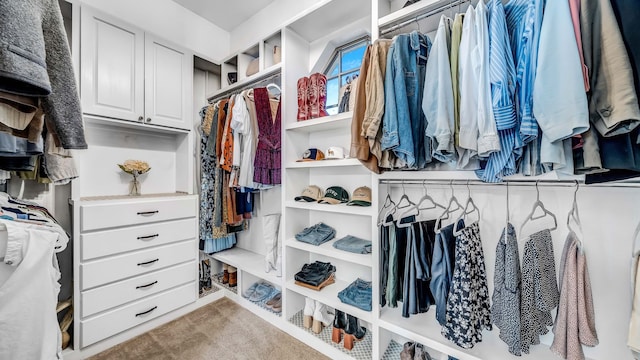 spacious closet with carpet