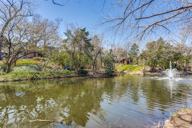 view of water feature