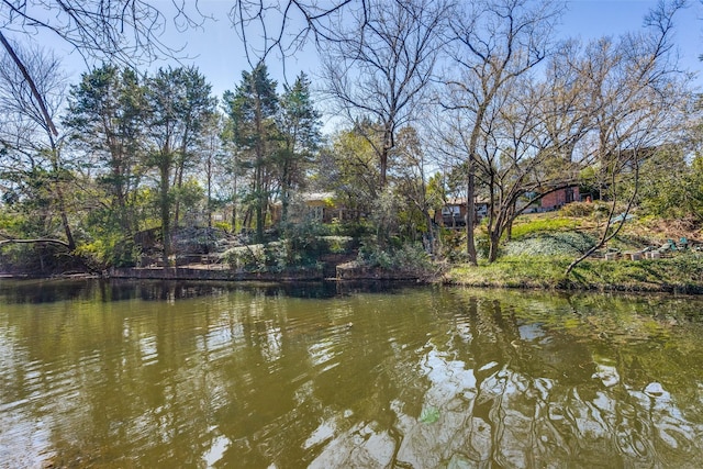 view of water feature