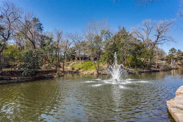 view of water feature