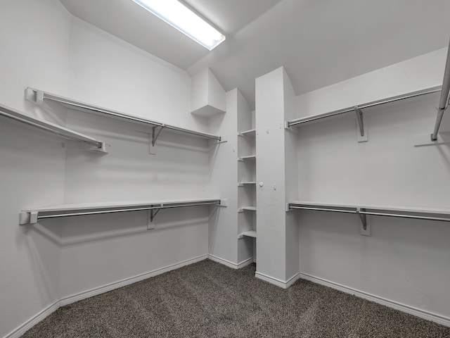 walk in closet with dark colored carpet