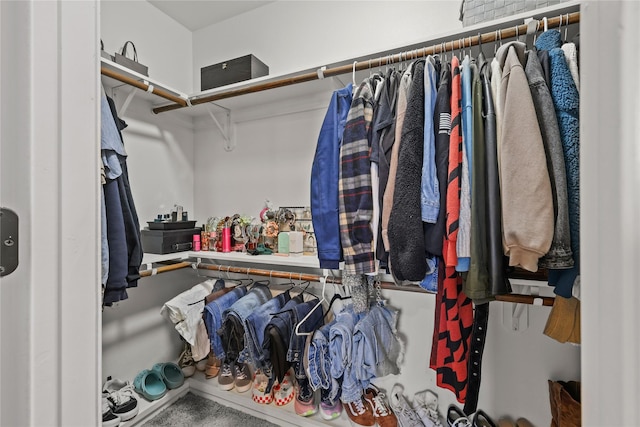 view of spacious closet