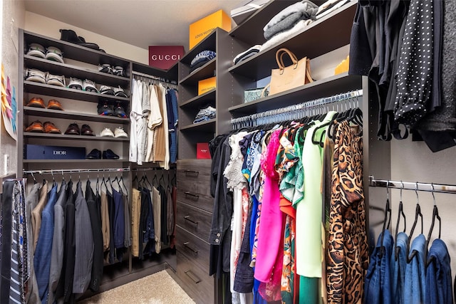 view of spacious closet