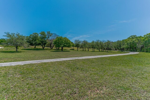 view of community with a lawn