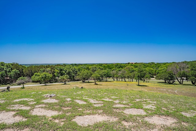 view of yard with a forest view