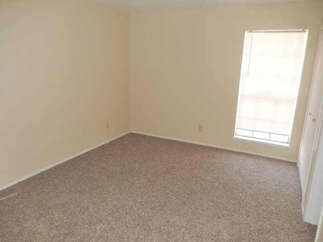 unfurnished room featuring carpet flooring