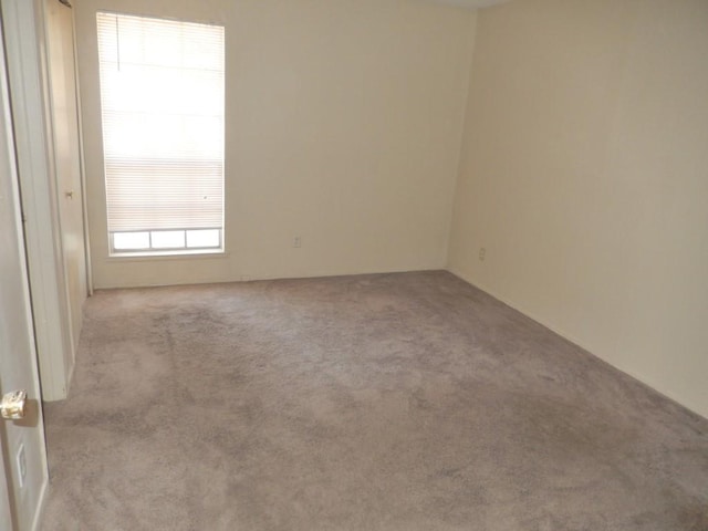 spare room with carpet floors