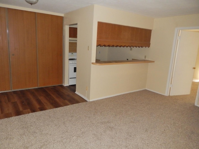 unfurnished living room featuring carpet