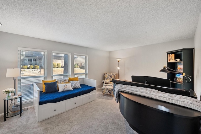 carpeted living area with a textured ceiling