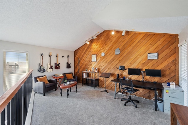 carpeted living area with track lighting, wooden walls, vaulted ceiling, and a textured ceiling