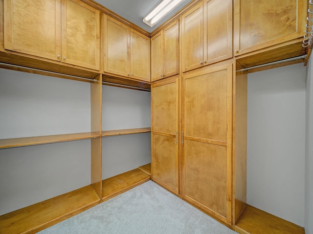 spacious closet featuring carpet flooring