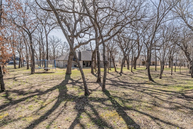 view of yard with a trampoline