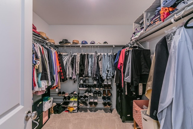 walk in closet featuring carpet