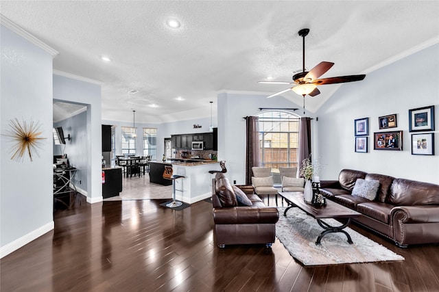 living room featuring dark wood-type flooring, crown molding, and a textured ceiling