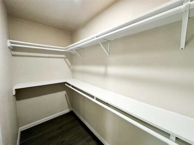 walk in closet featuring dark wood-style flooring