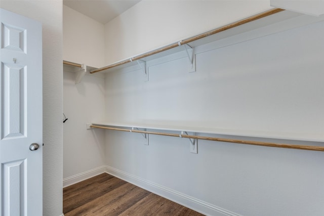 walk in closet featuring dark wood finished floors