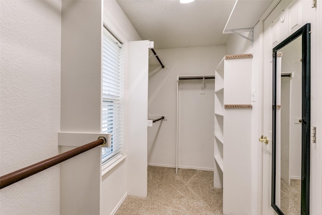 spacious closet with light carpet