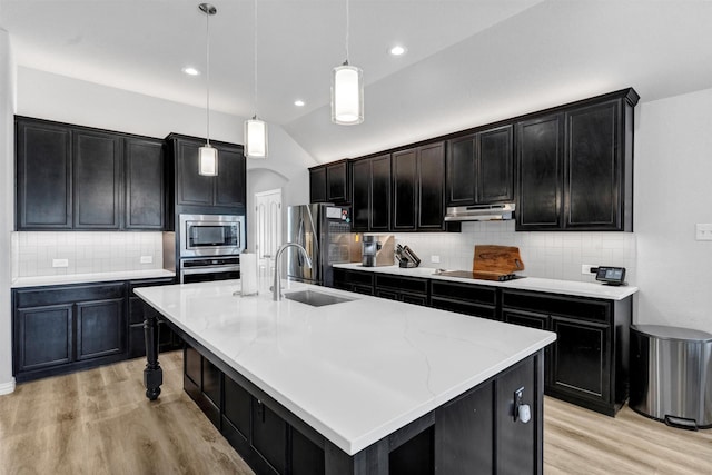 kitchen with under cabinet range hood, appliances with stainless steel finishes, and dark cabinets