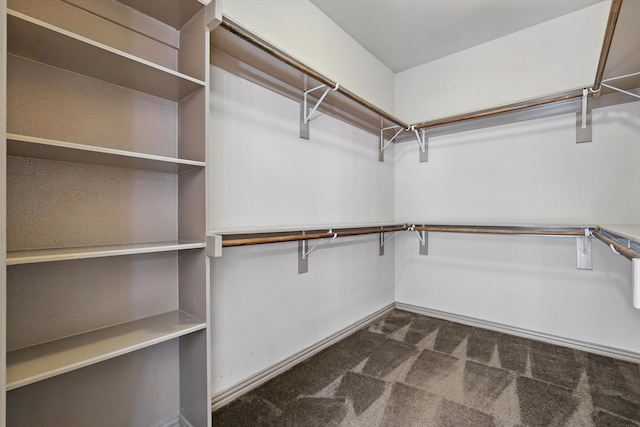 walk in closet featuring carpet