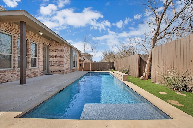 view of pool featuring a patio area, a fenced in pool, and a fenced backyard