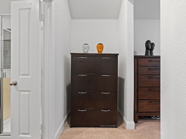 details featuring carpet, baseboards, and a textured wall