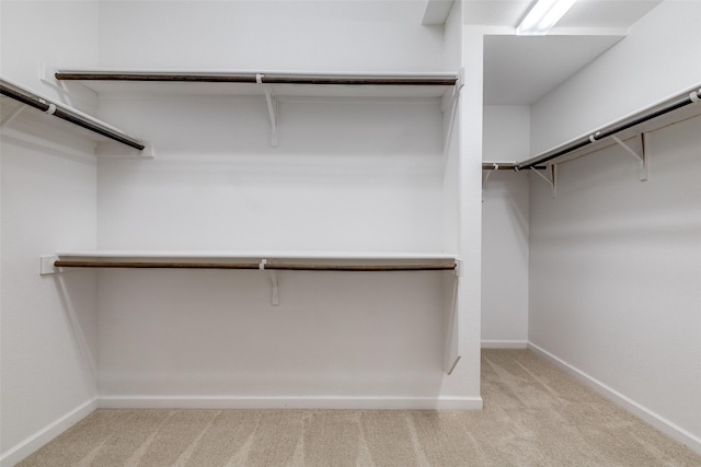 spacious closet featuring carpet flooring