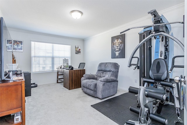 workout area featuring crown molding, carpet flooring, and baseboards