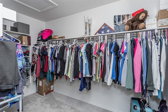 spacious closet featuring carpet and attic access