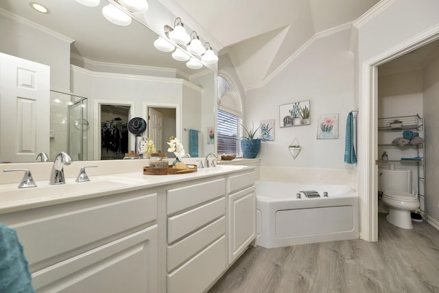 bathroom with a garden tub, double vanity, toilet, a shower stall, and a sink