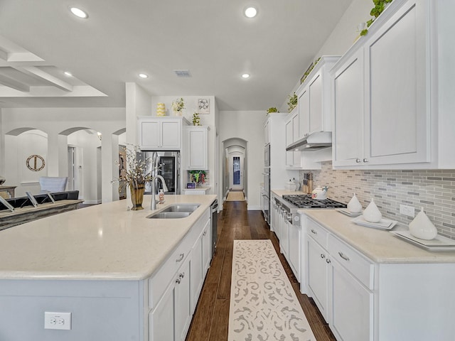 kitchen with white cabinets, tasteful backsplash, under cabinet range hood, and a sink