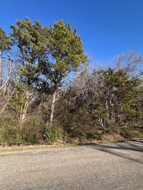 LOTS251-254 County Rd, Gordonville TX, 76245 land for sale