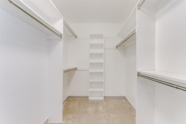 walk in closet with light colored carpet