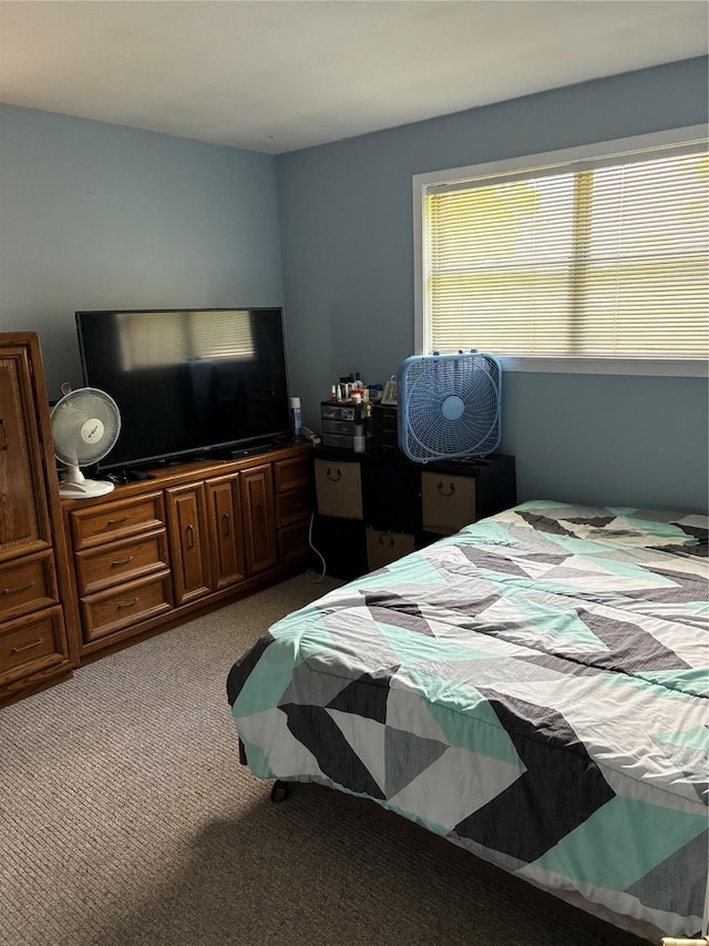 2039 Lovers Ln, Shreveport, LA 71105 - view of carpeted bedroom