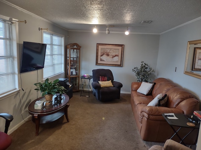 living area featuring visible vents, a textured ceiling, carpet flooring, and crown molding