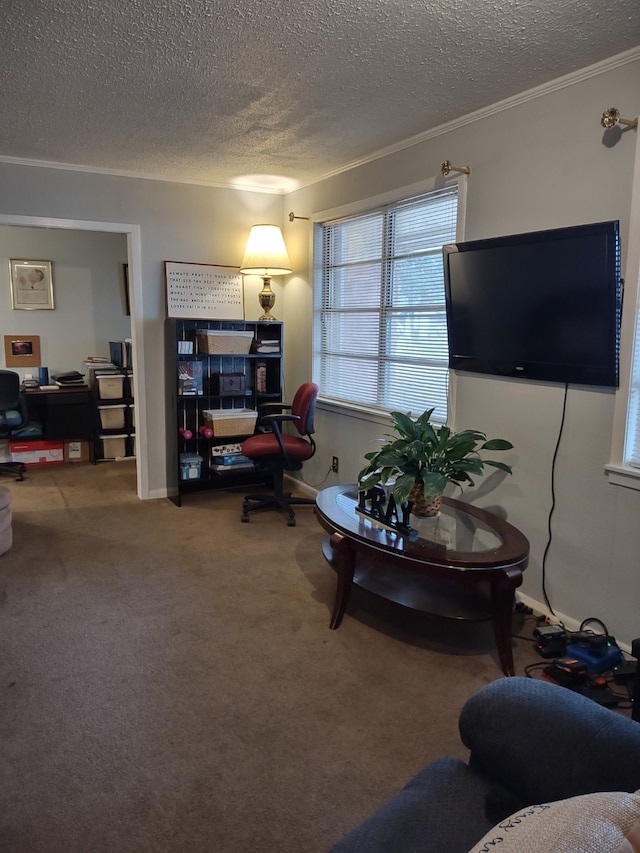 living area with ornamental molding, carpet, and a textured ceiling