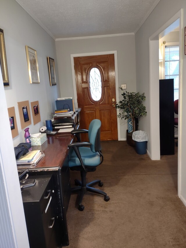 carpeted office space featuring baseboards, crown molding, and a textured ceiling