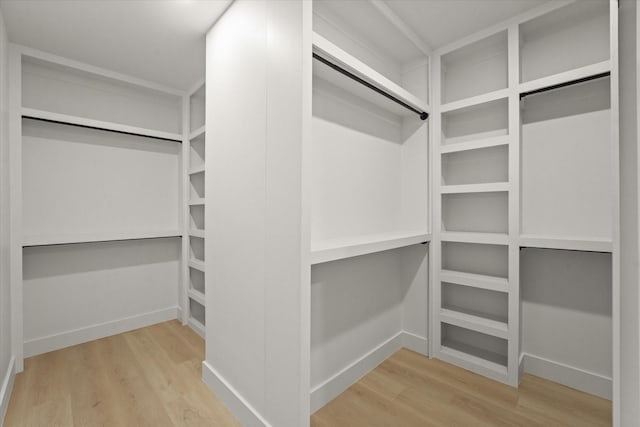 spacious closet featuring wood finished floors