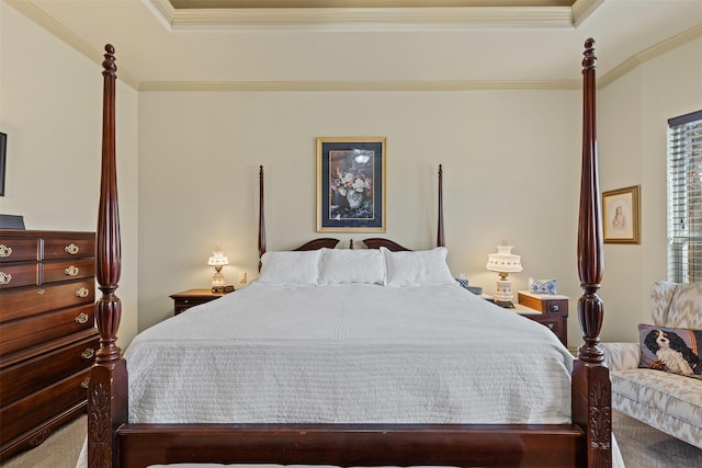 117 Birdie Dr, Lipan, TX 76462 - bedroom with a tray ceiling and crown molding