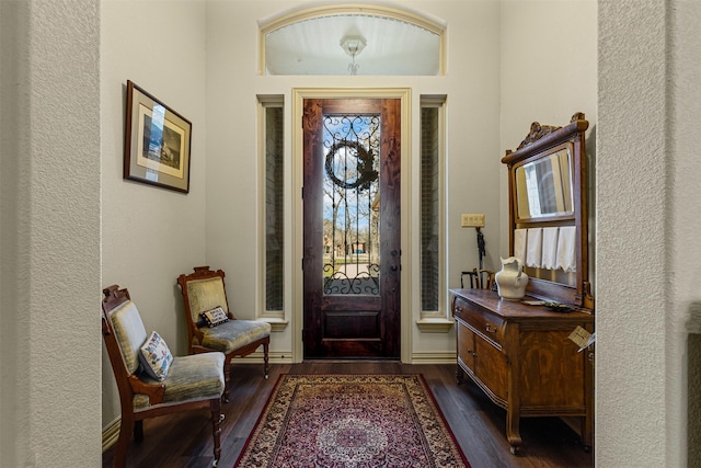 foyer entrance with dark wood finished floors