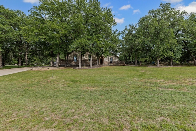117 Birdie Dr, Lipan, TX 76462 - view of grassy yard