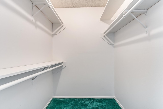 walk in closet featuring carpet floors