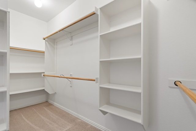 spacious closet featuring carpet floors