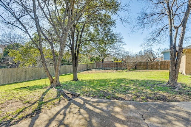 view of yard with a fenced backyard