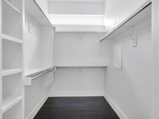 spacious closet with dark wood-style floors