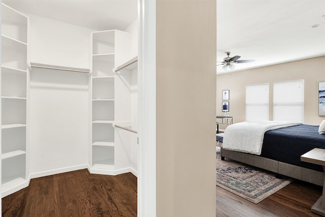 walk in closet featuring a ceiling fan and wood finished floors