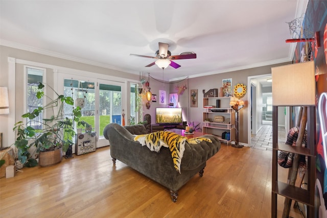 living room with wood finished floors, crown molding, and a ceiling fan