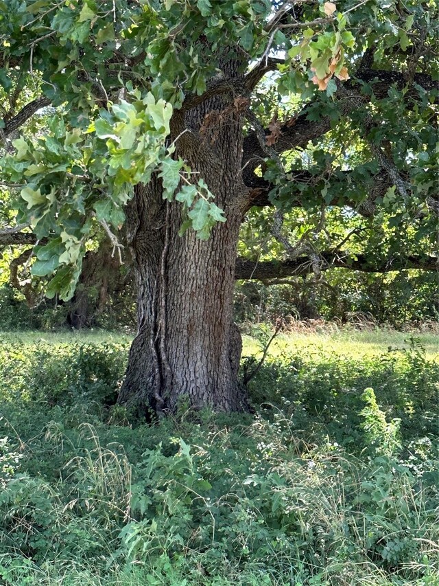 LOT27 & Dr, Corsicana, TX 75109