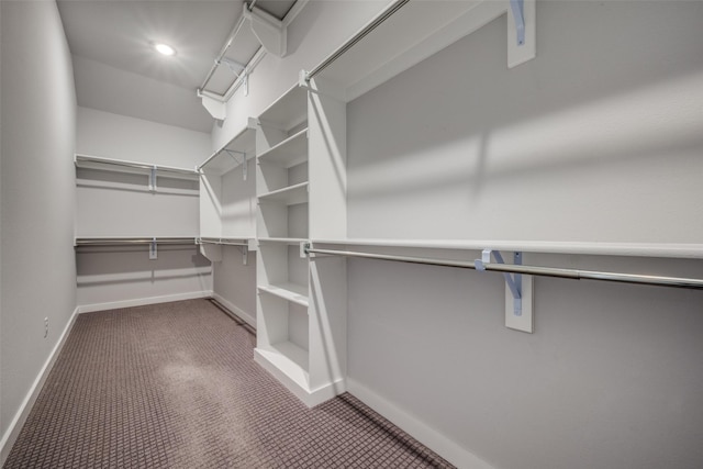 walk in closet with carpet floors