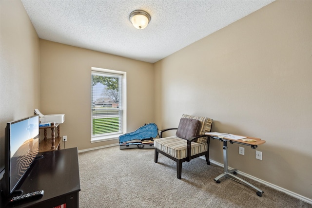 living area featuring baseboards, carpet floors, and a textured ceiling